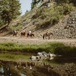 Horseriding
