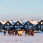 Torfbær - Exterior Winter