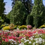 Rose Garden
