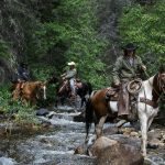 Trail Riding