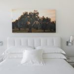Junior Deluxe - Bedroom
