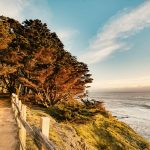 Walking Path