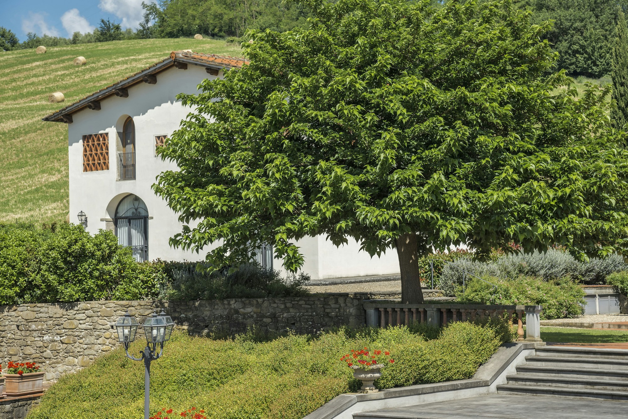 Family Roseto - Exterior