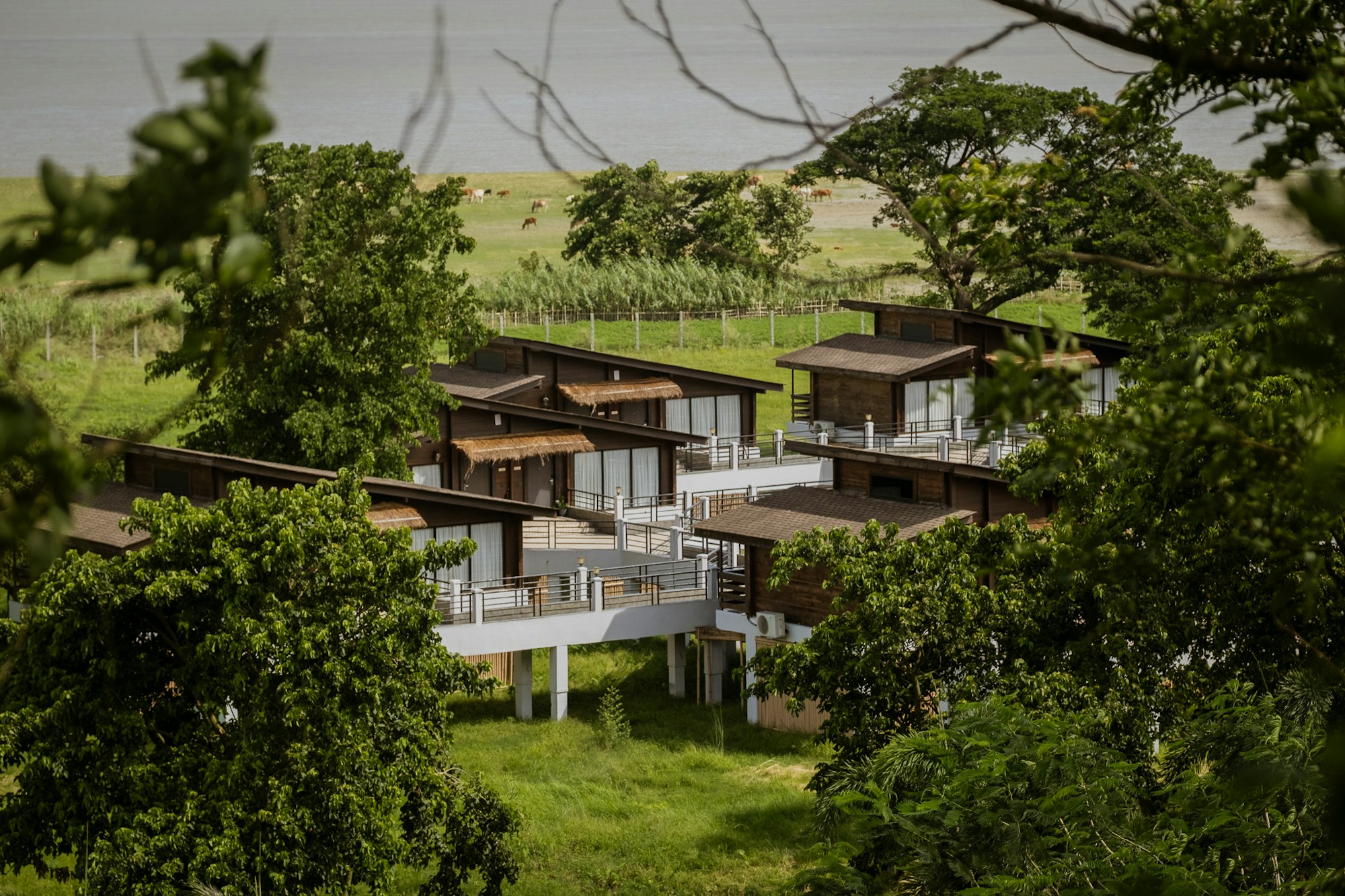 Rhino and River Wildlife Retreat & Spa