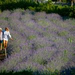 Naturalis Garden Walk - Naturalis Experiences