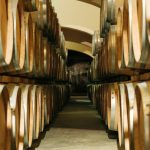 The Château Wine Cave