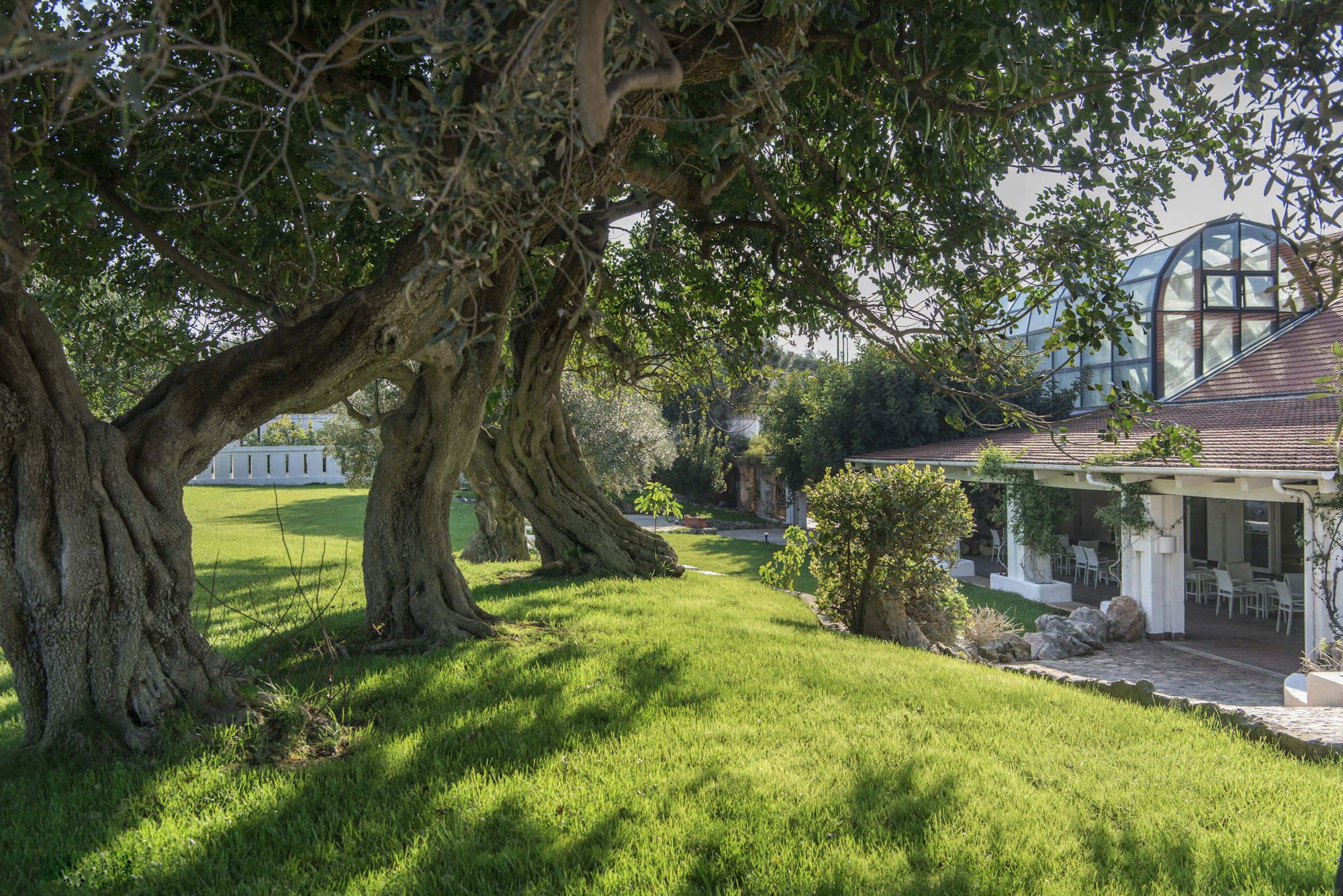 External Wellness Area