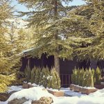 The Cabin