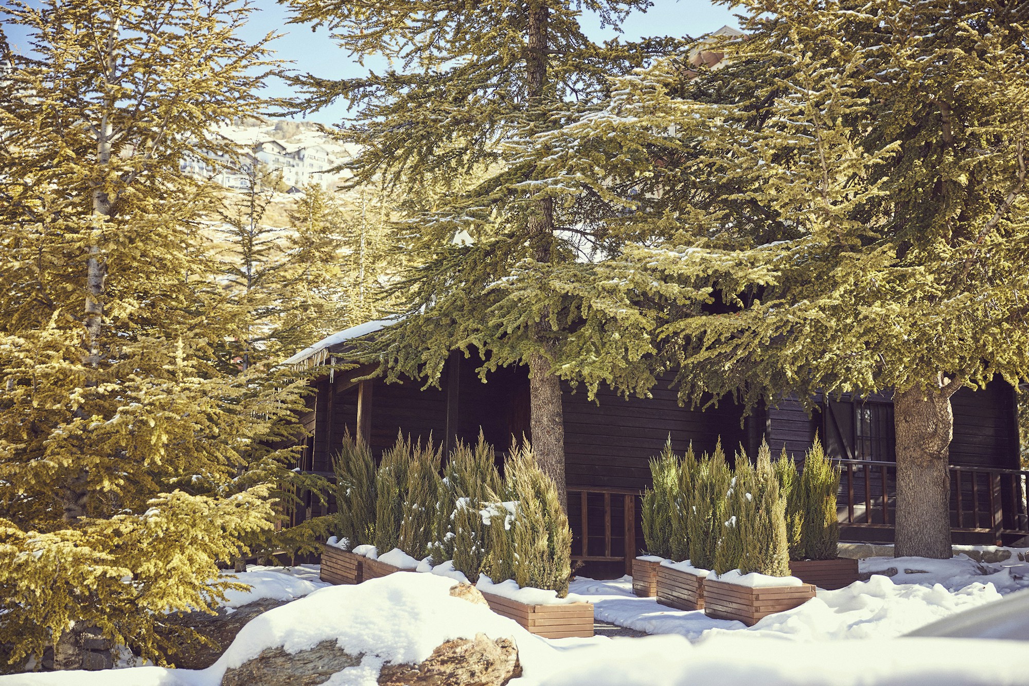 The Cabin