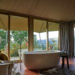 Tent Suite Deluxe