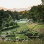 Vegetable Garden And Tennis Court