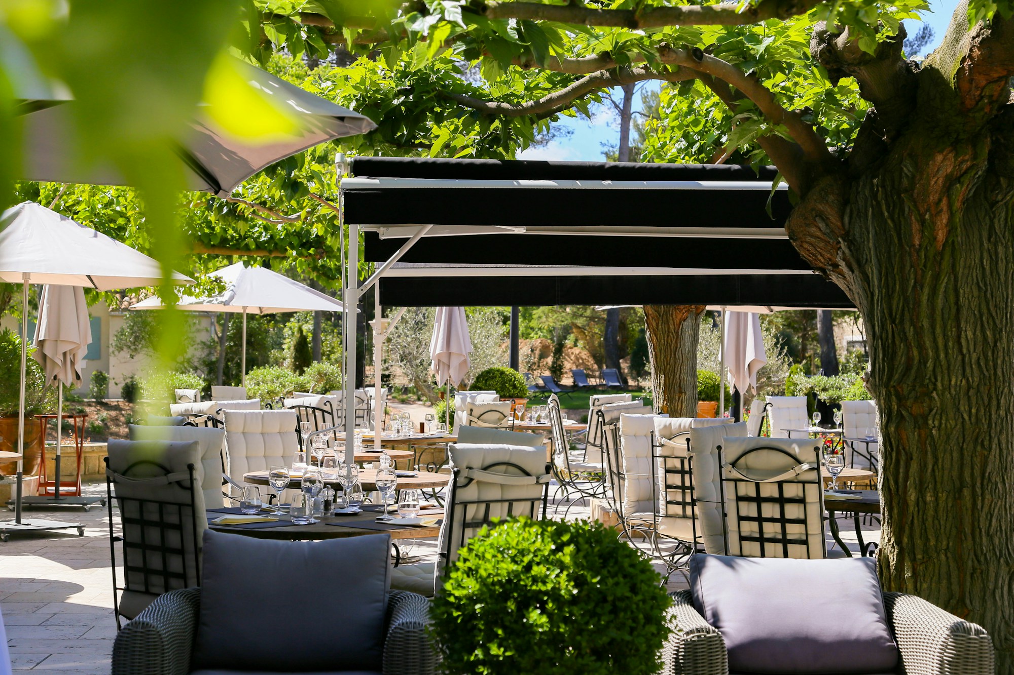 Terrace - Restaurant & Bar
