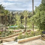 Garden and Swimming Pool