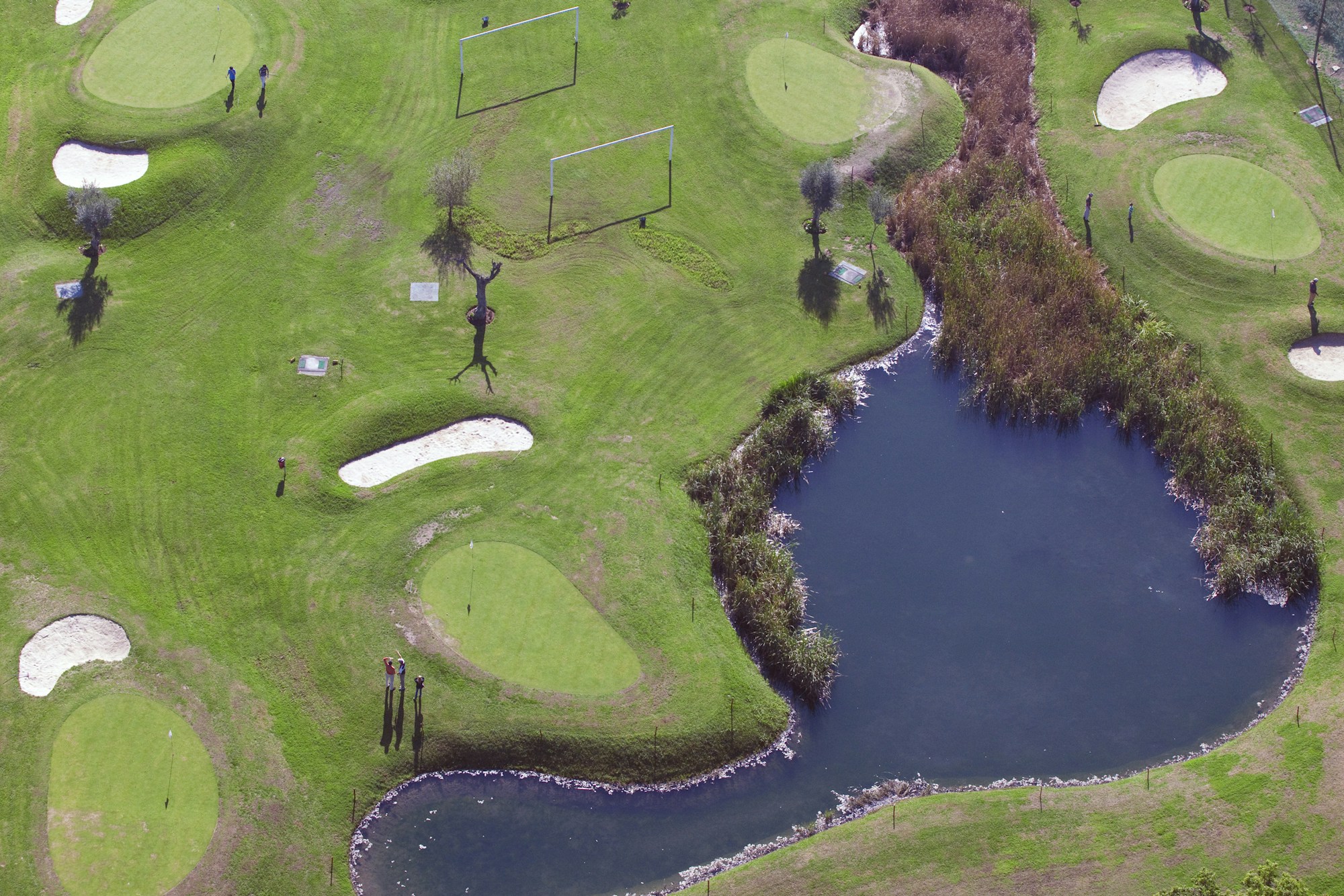 Golf
