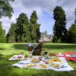 Picnic