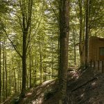 Loft In The Forest - Exterior