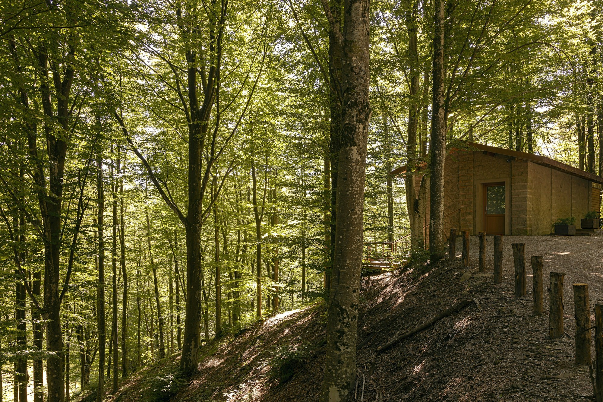 Loft In The Forest - Exterior