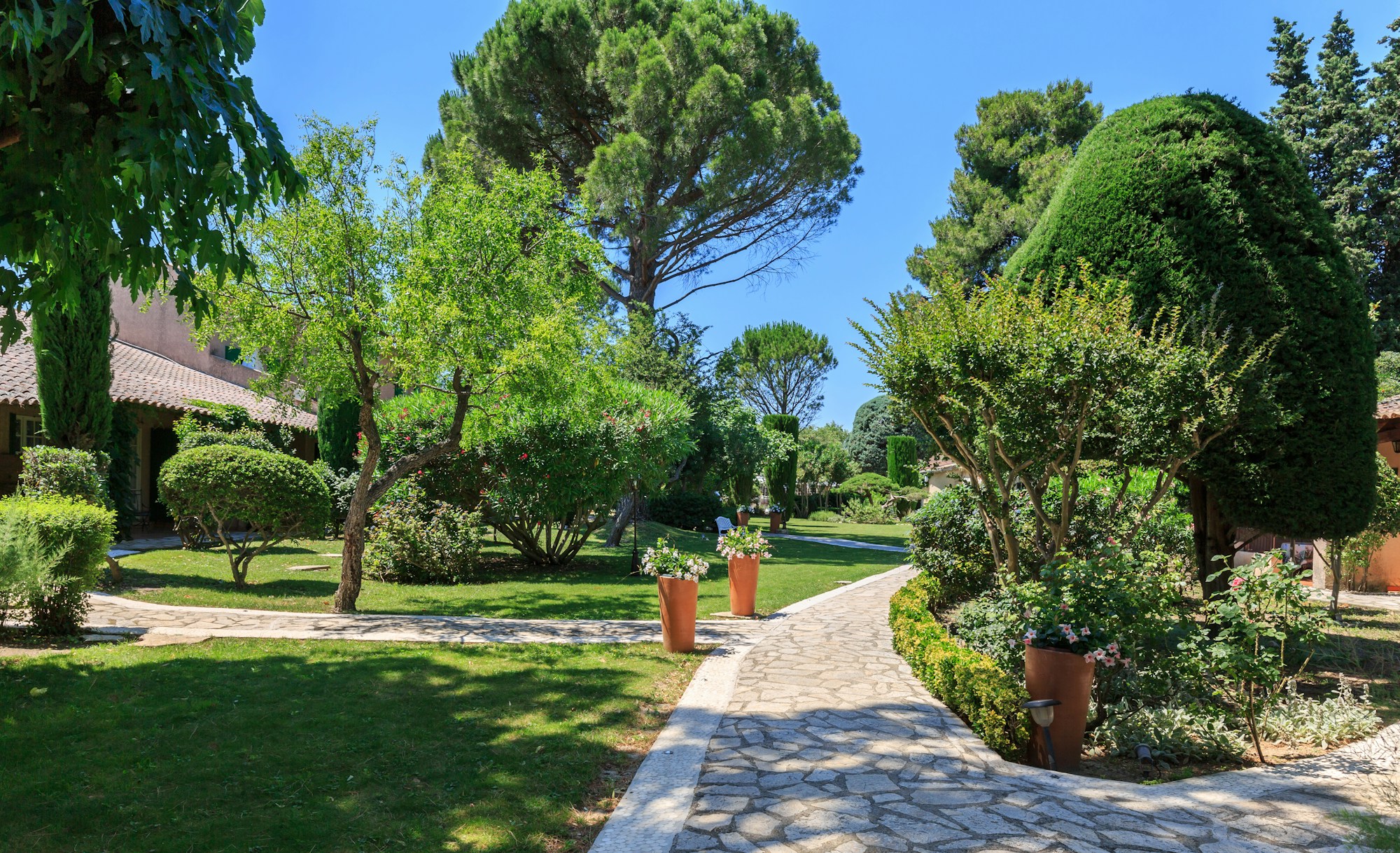 Garden