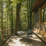 Loft In The Forest - Terrace