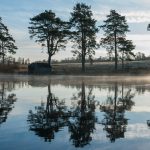 Loch on the Estate