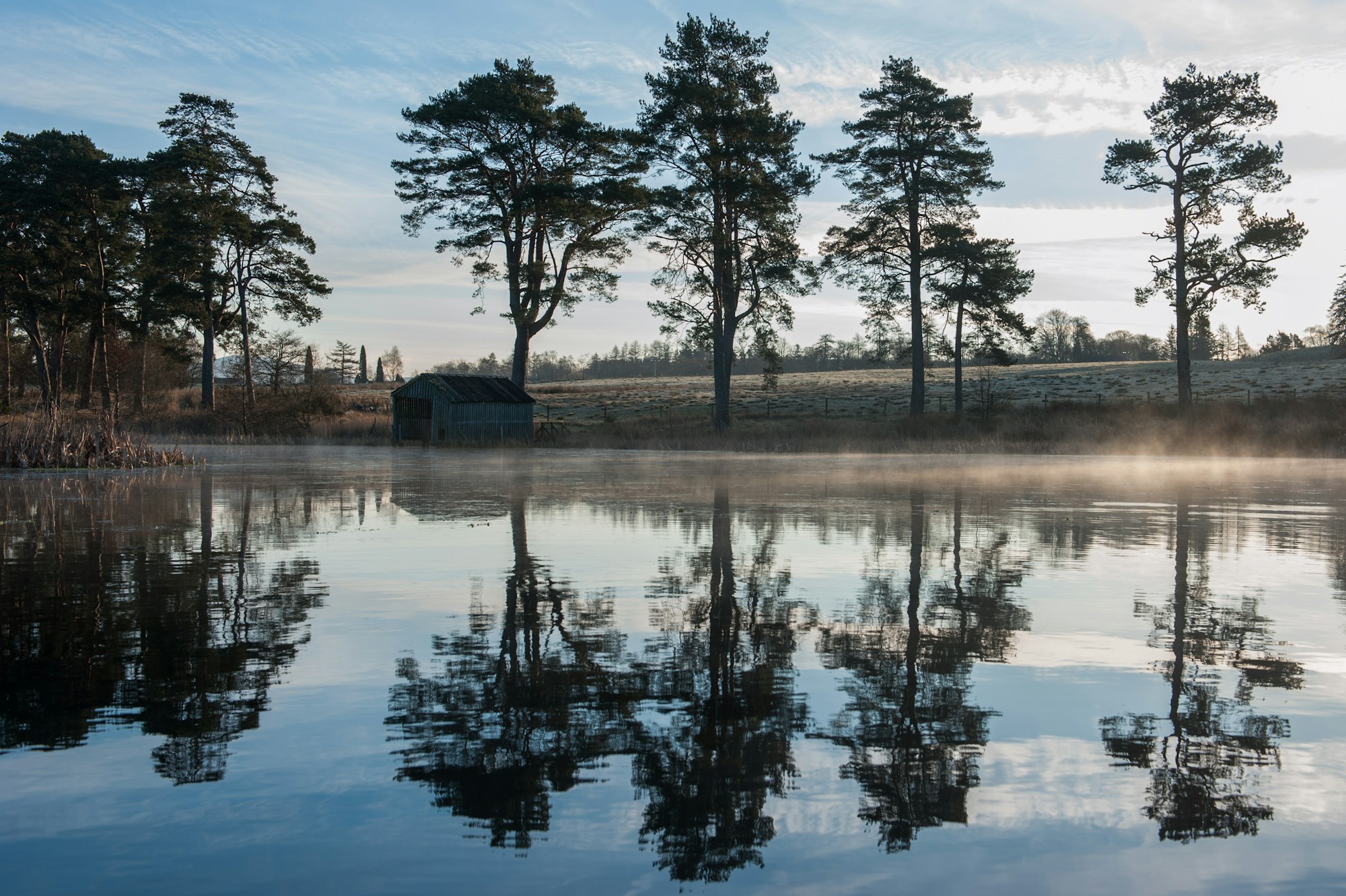 Loch on the Estate