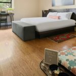 Accessible King Room - Dog Amenity