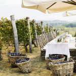 Table in the Vineyard