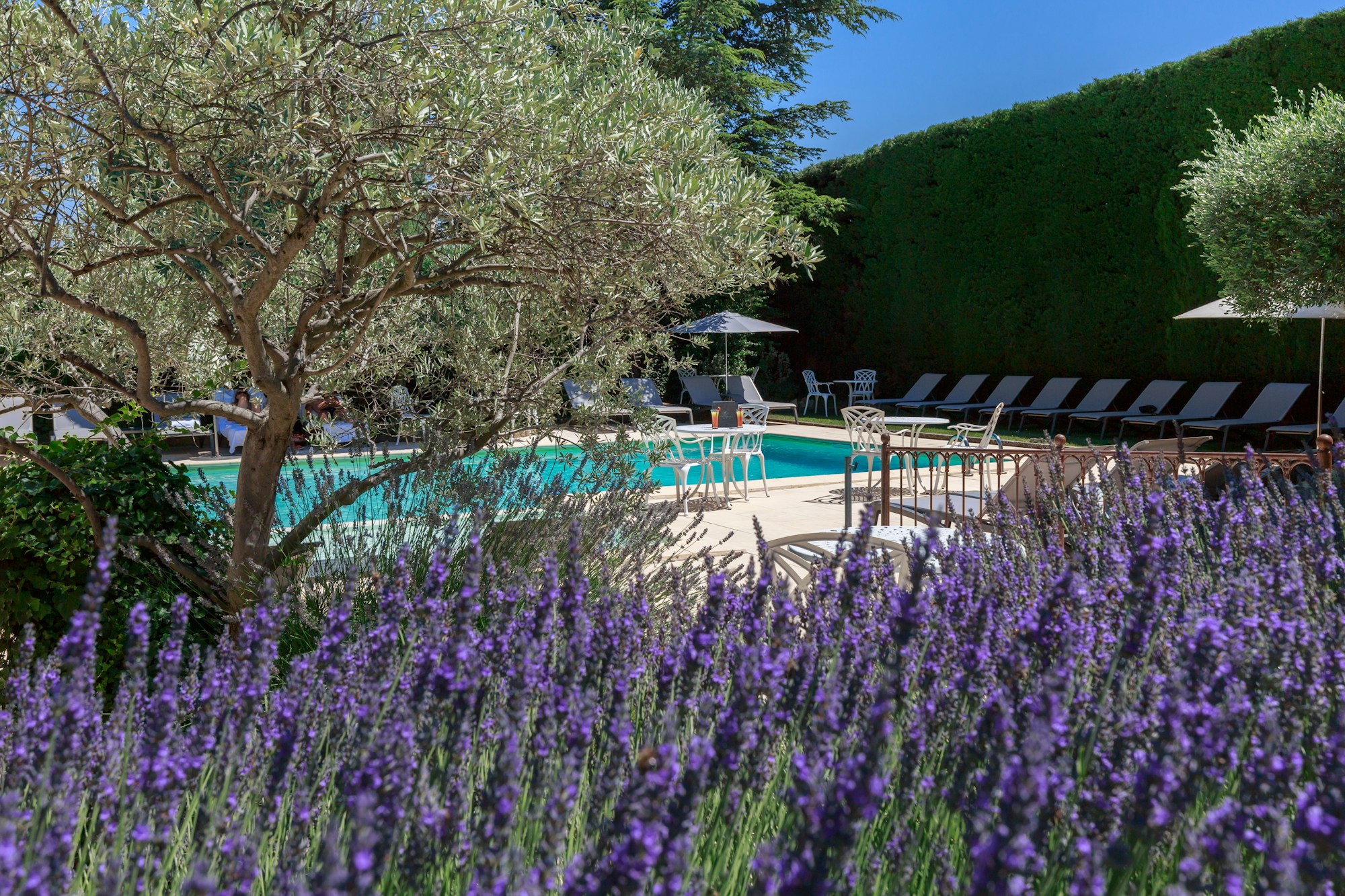 Swimming Pool View