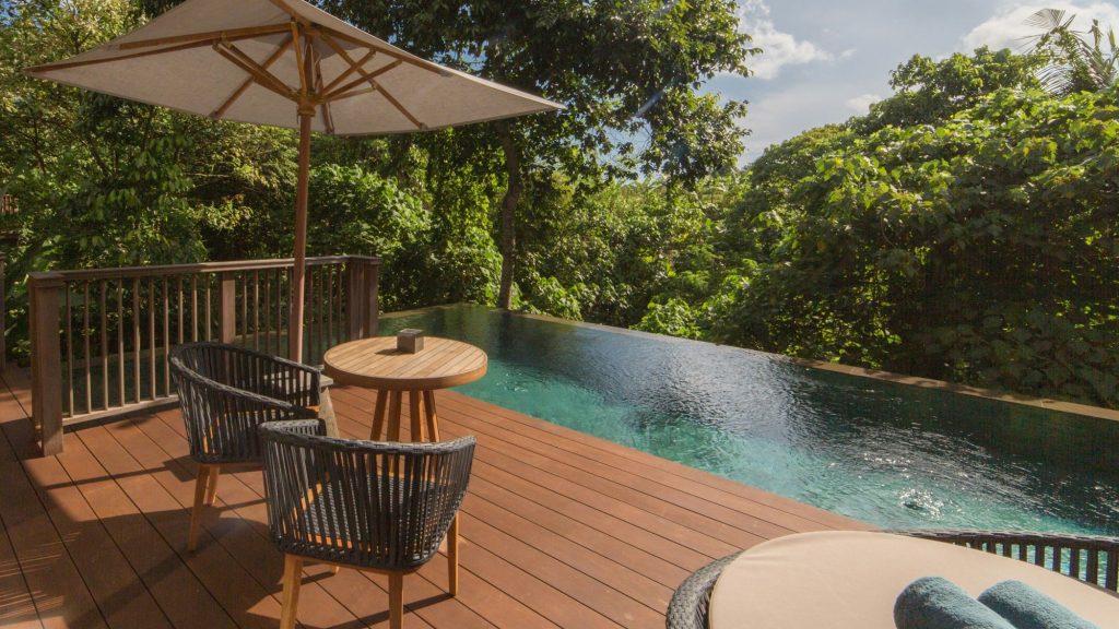 Jungle Pool Pavilion - Pool