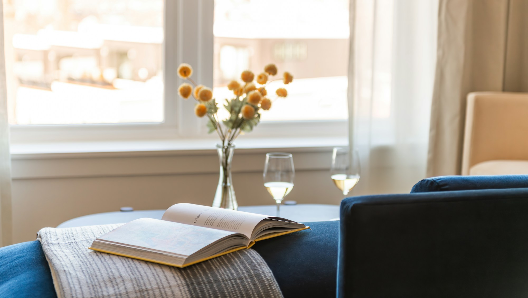 Suite - Living Area Details