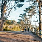 Walking Path