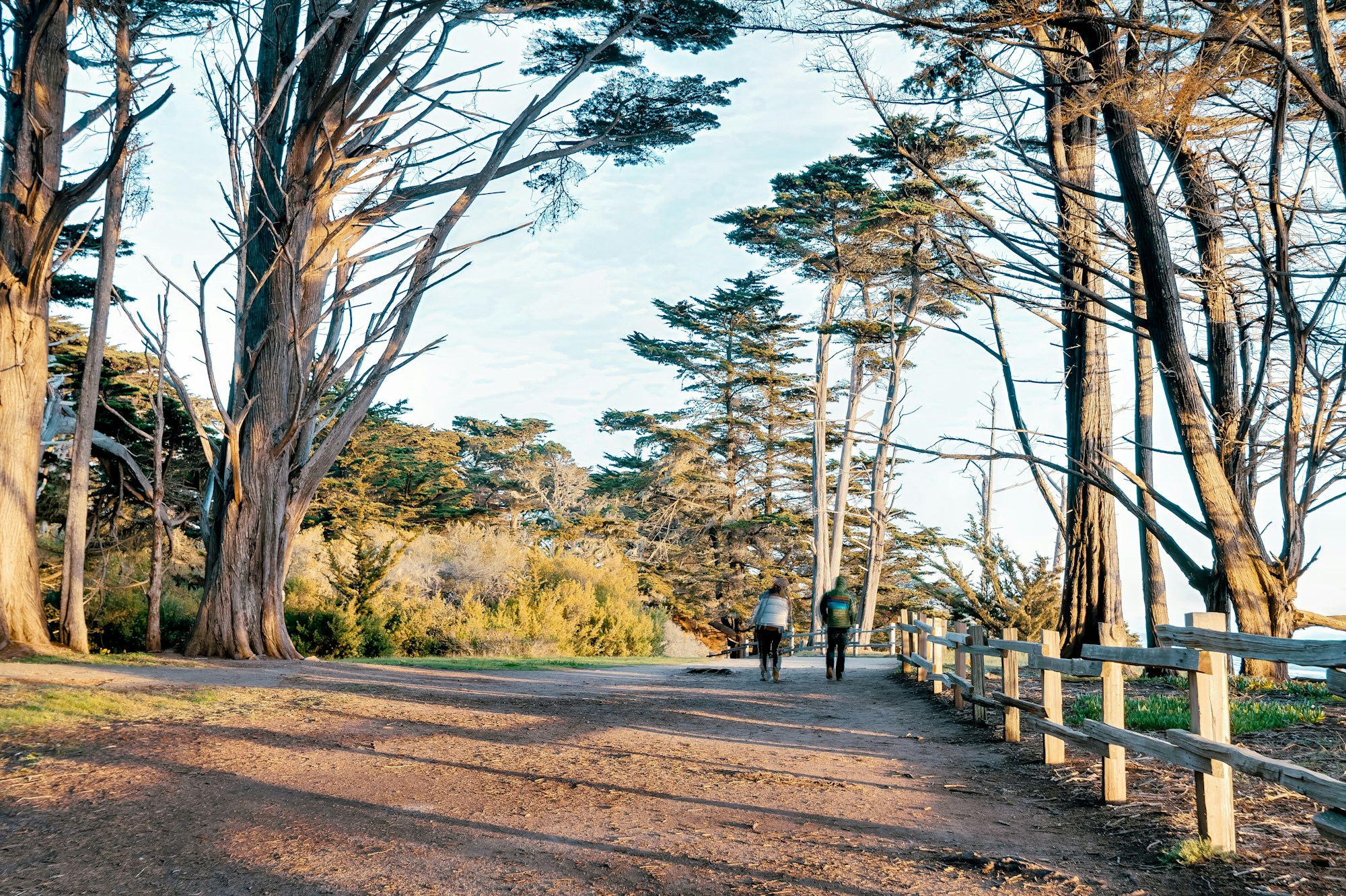 Walking Path