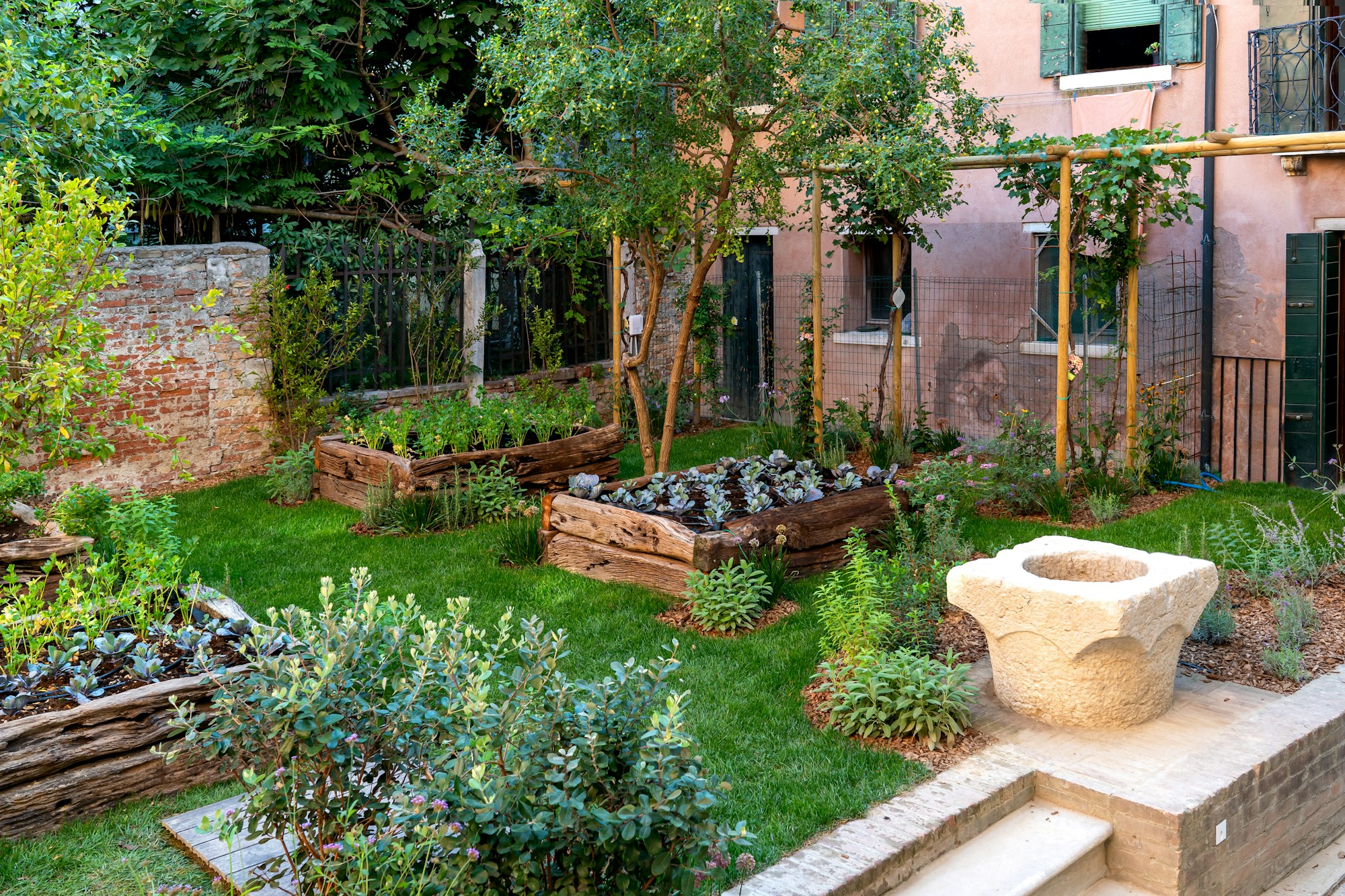 Vegetable Garden