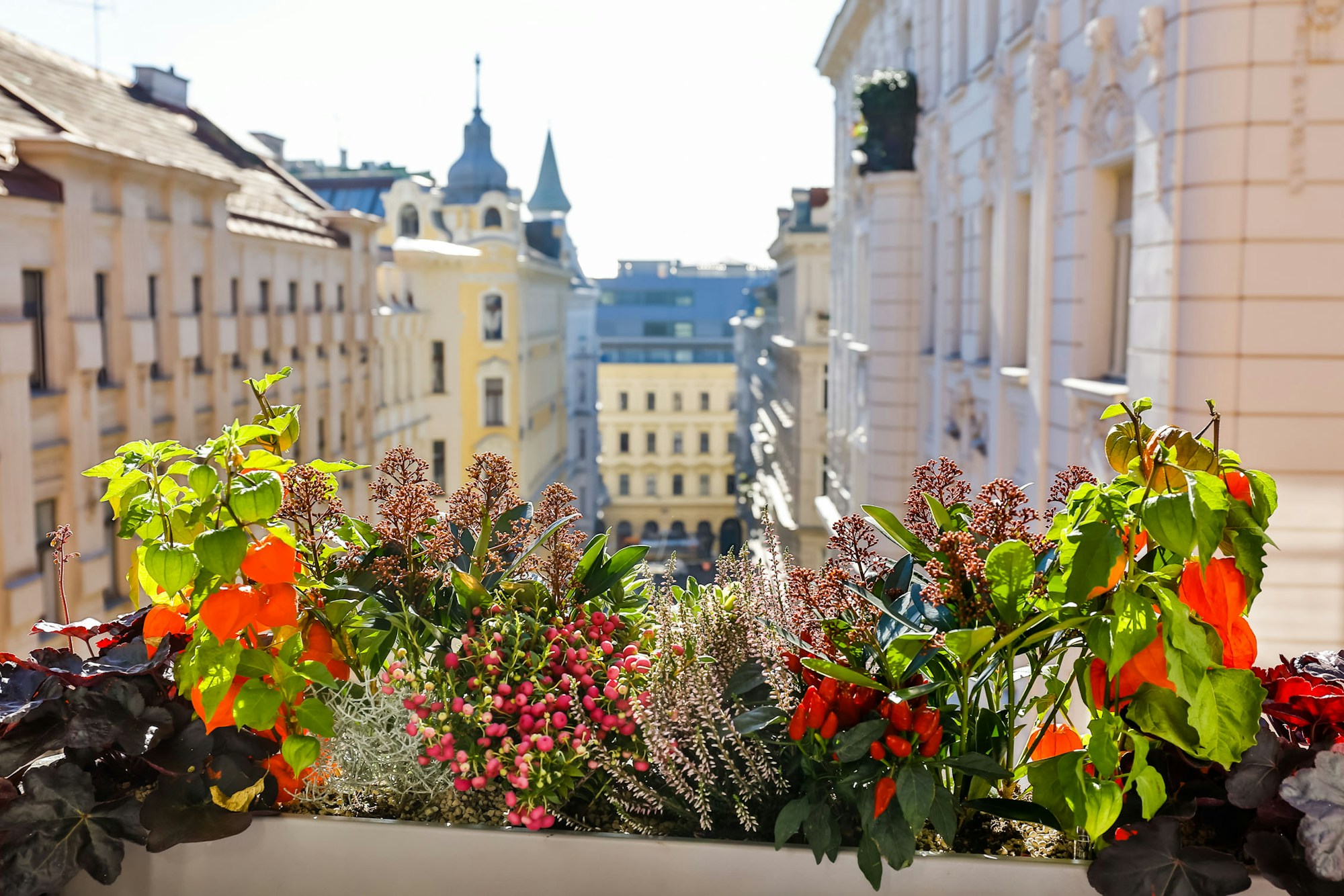 City View