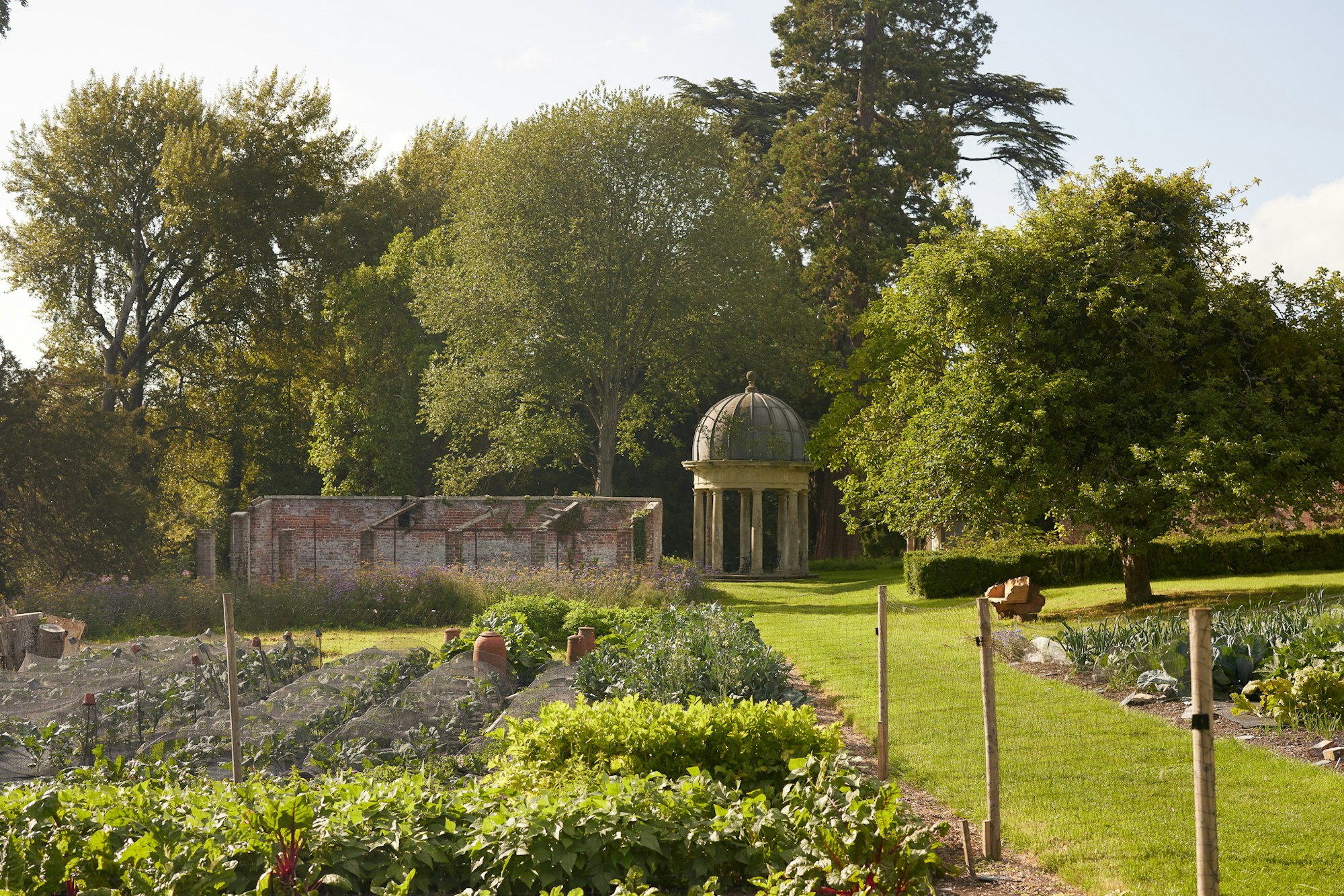 Kitchen Garden