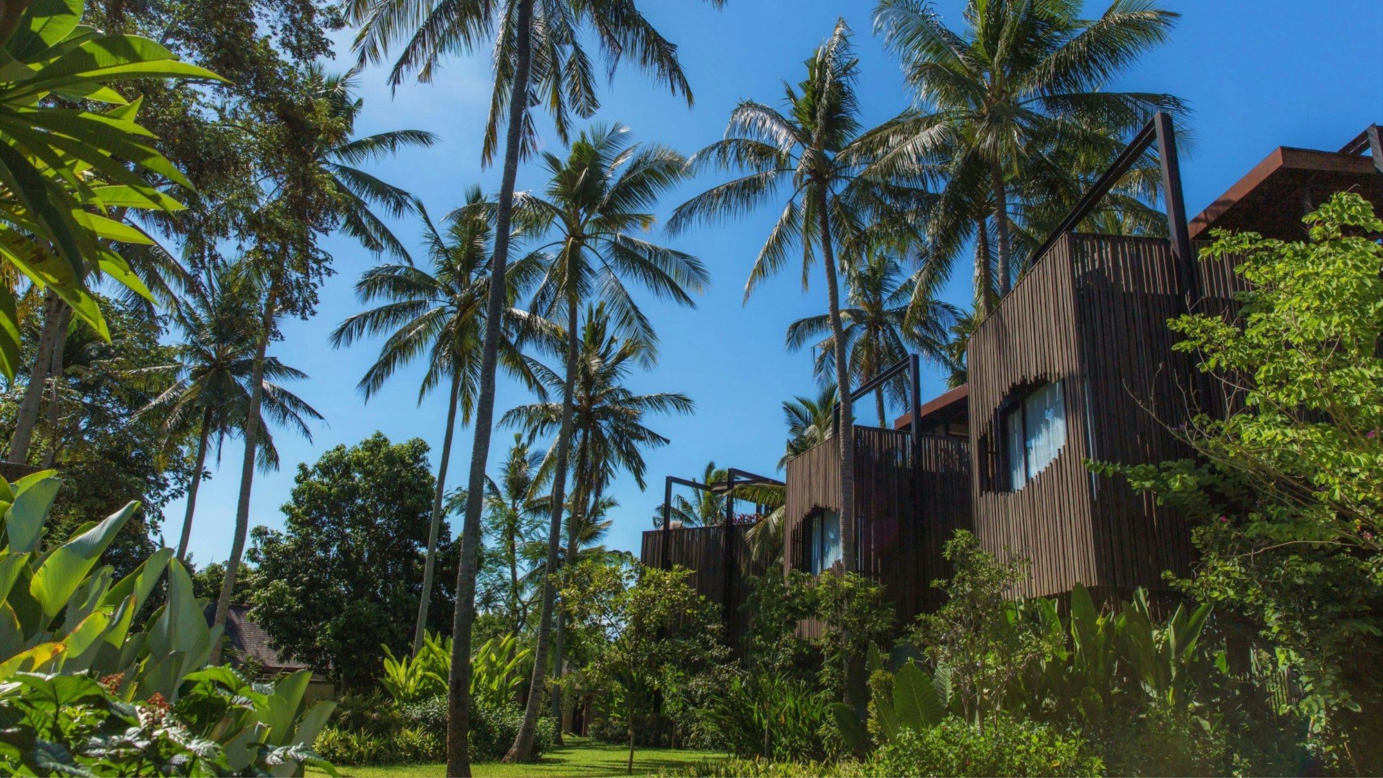 Canopy Suite - Exterior
