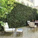 Garden Suite - Outdoor Living Area