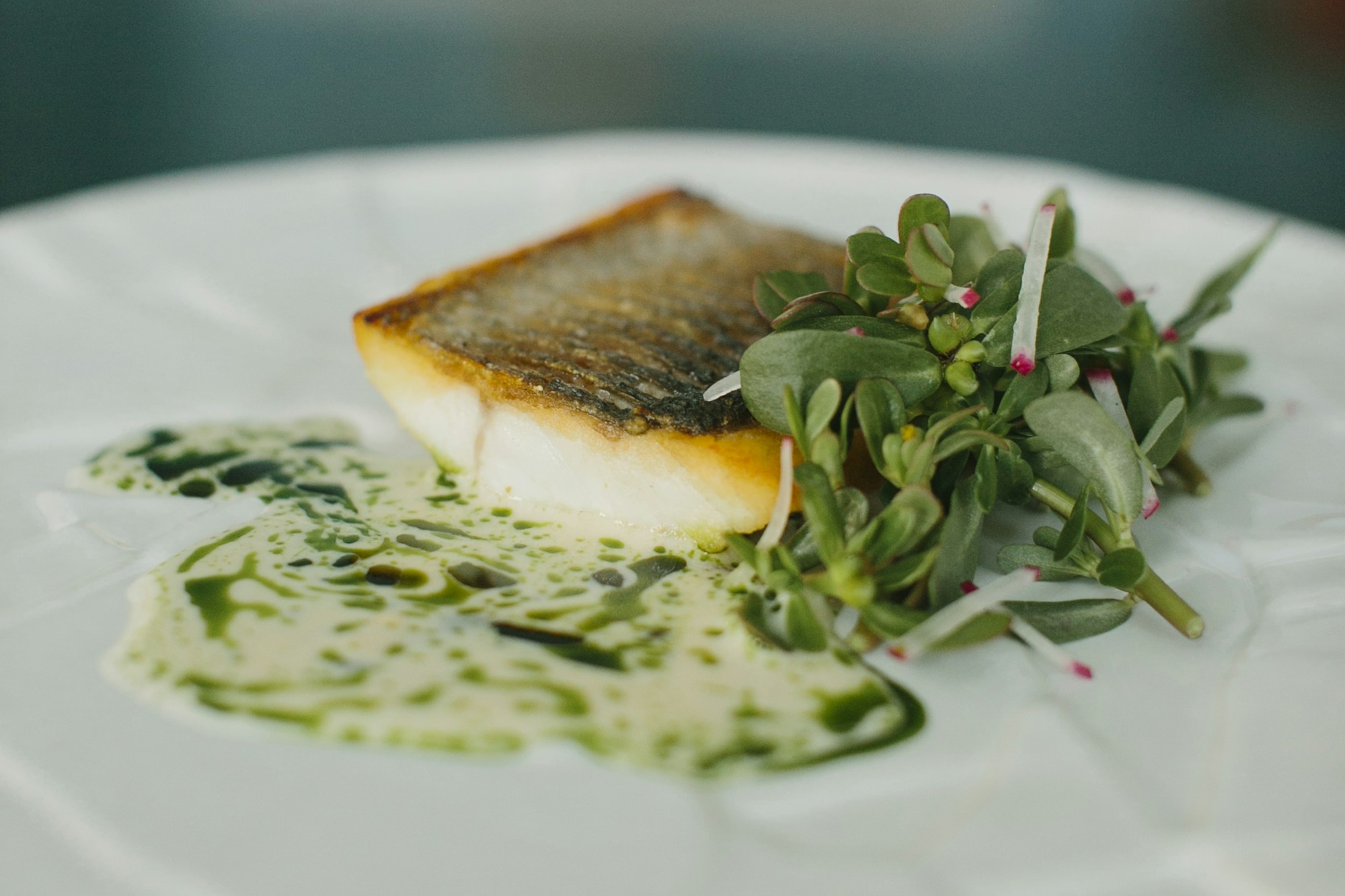 Ifestioni Restaurant - Greek Gastronomy