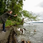 Lakeside - Pet Friendly