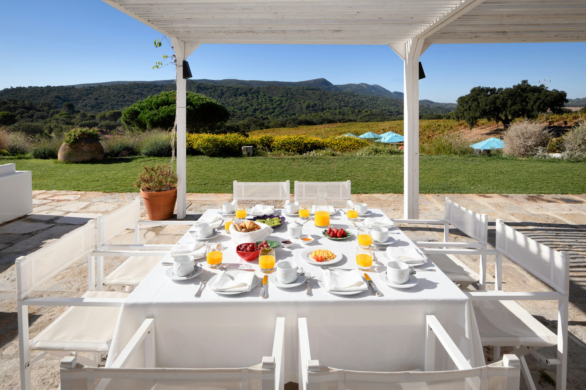 Breakfast on the terrace