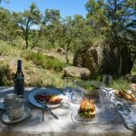 Picnic