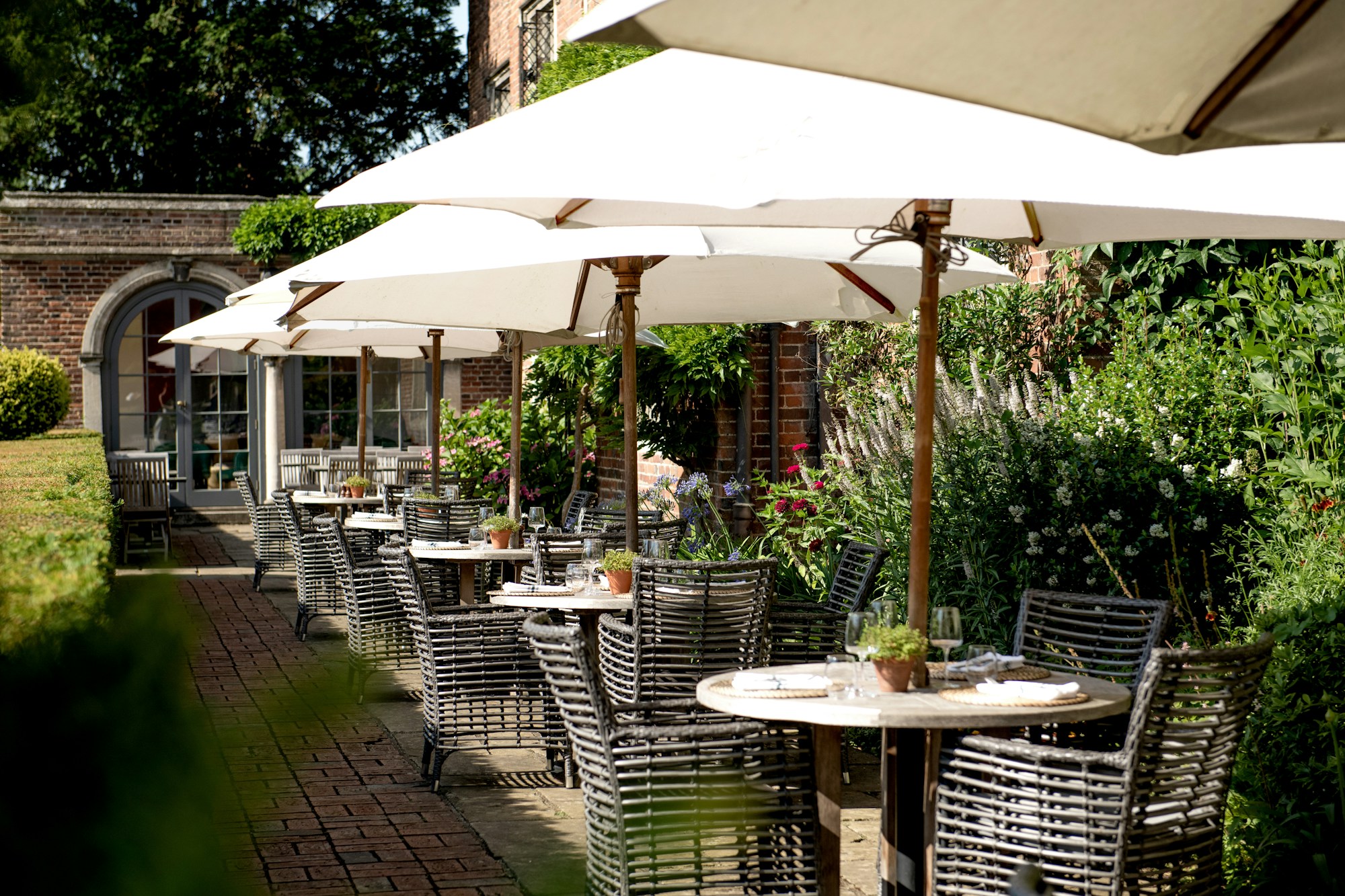 The Terrace