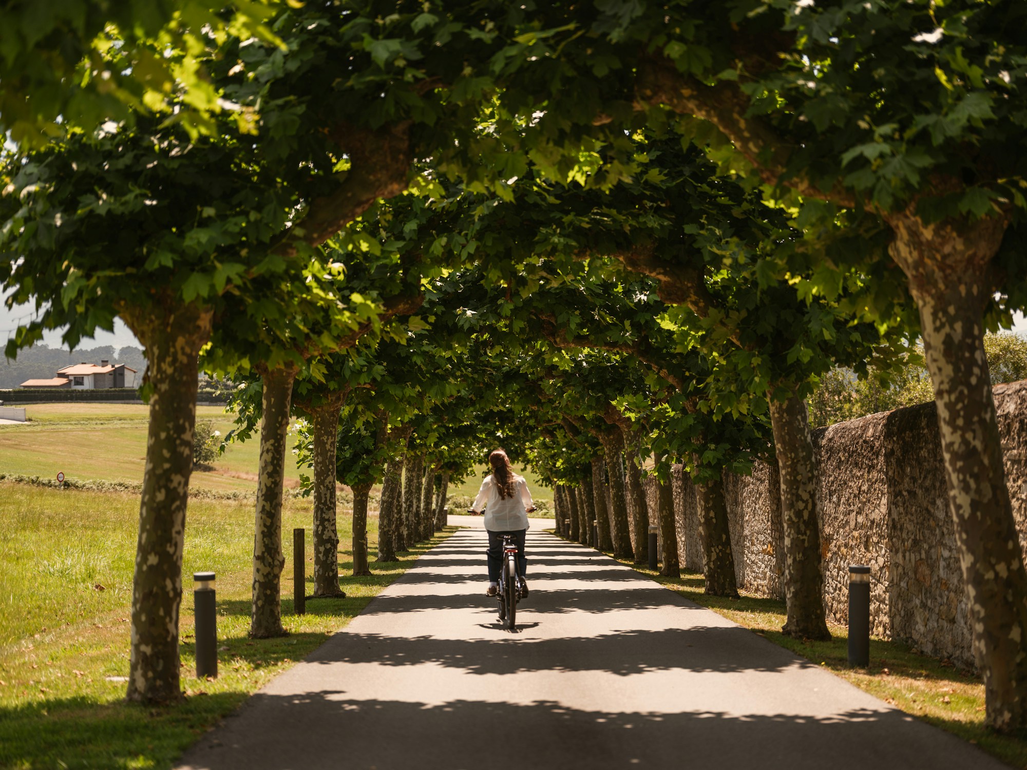 Entrance Path
