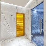 Spa Sauna Steam Room