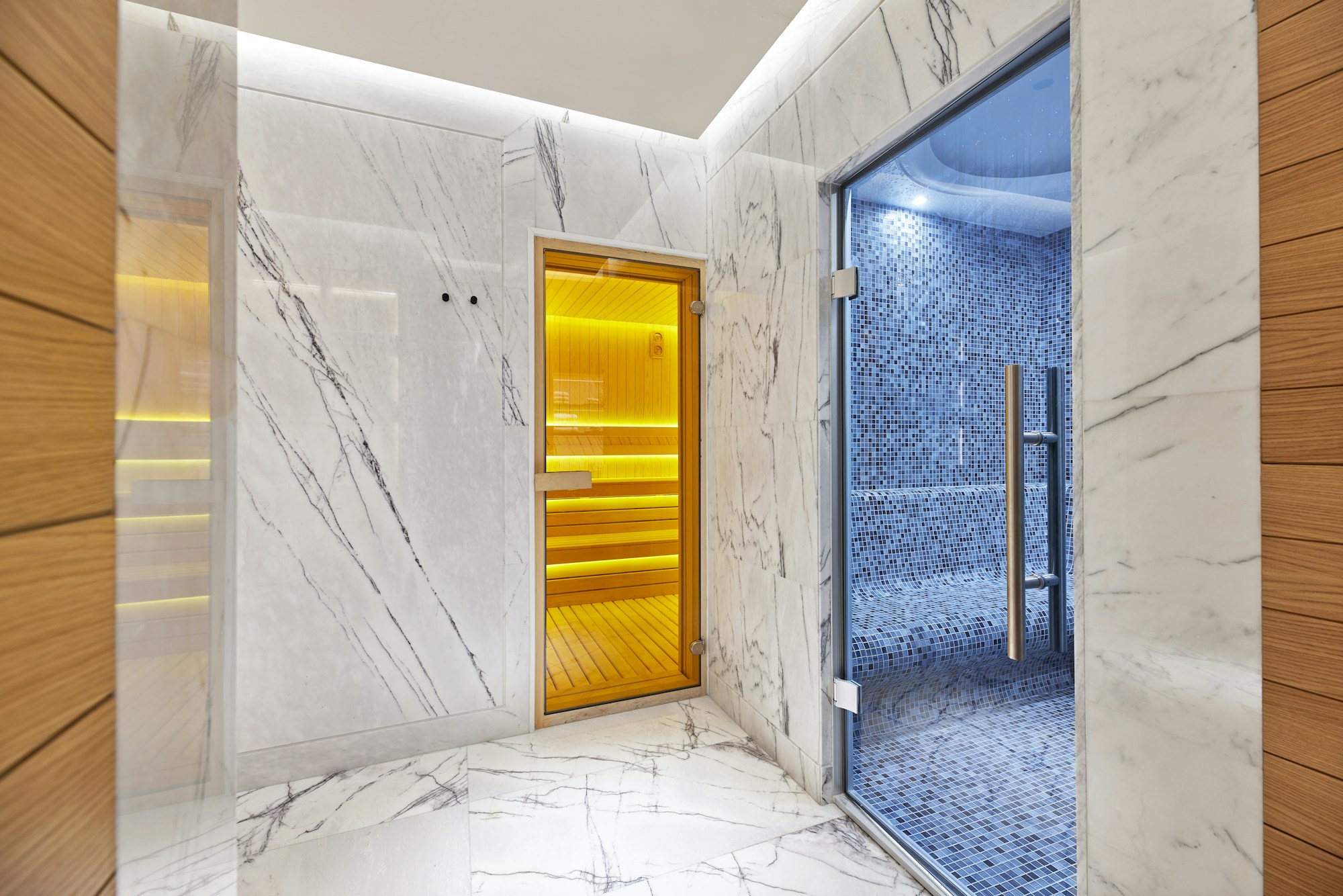 Spa Sauna Steam Room