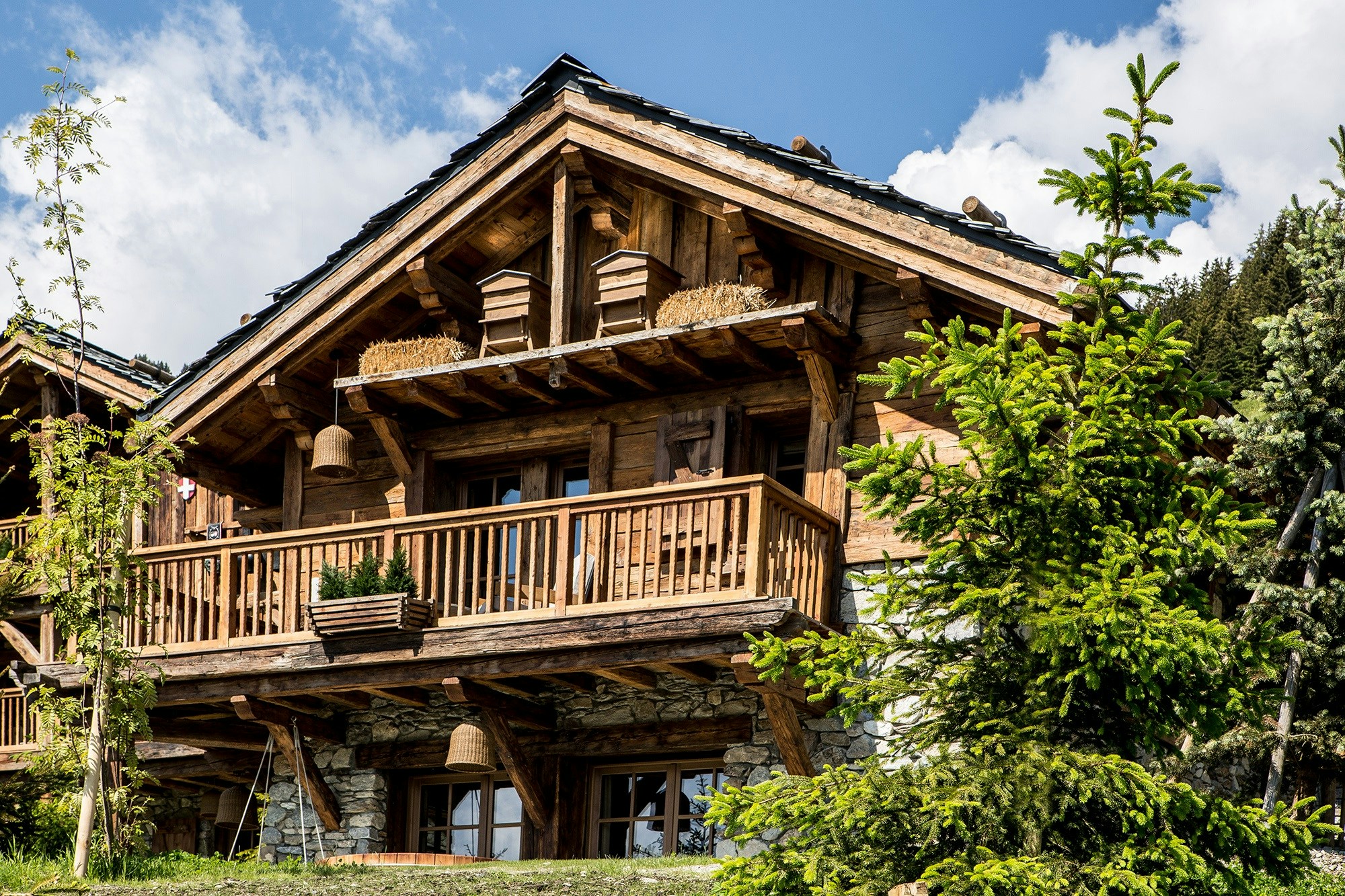 Summer Exterior View