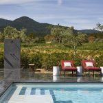Swimming pool in the Vineyard