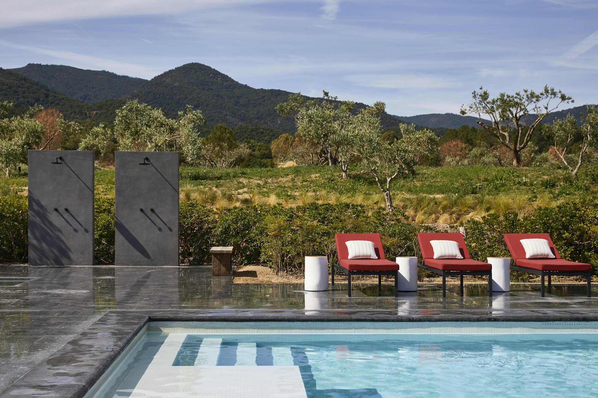 Swimming pool in the Vineyard