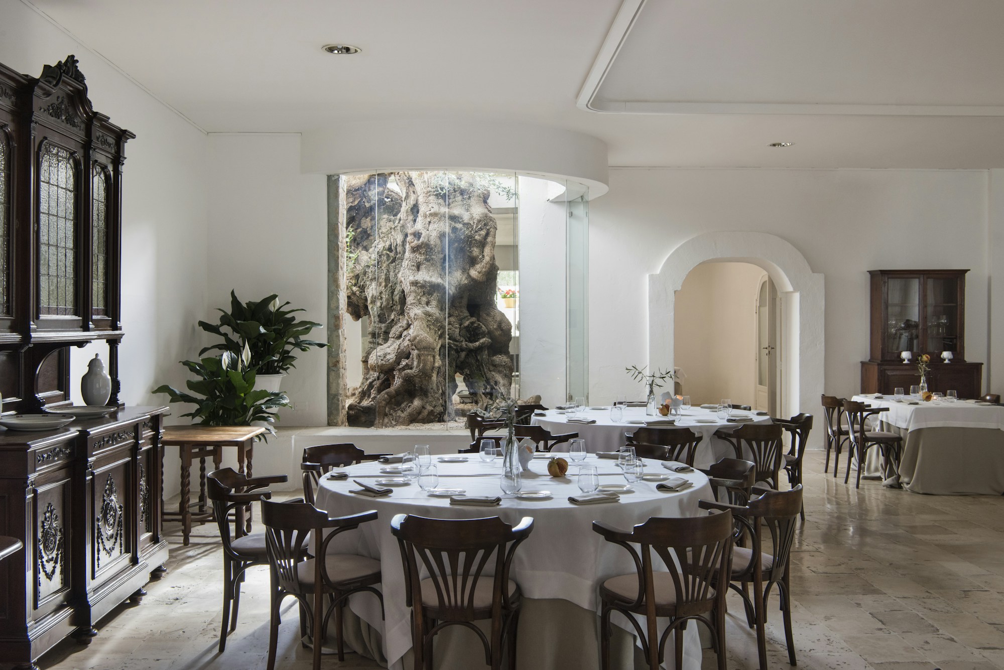 ULIVO Restaurant