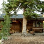 Old Bunk House Cabin - Exterior